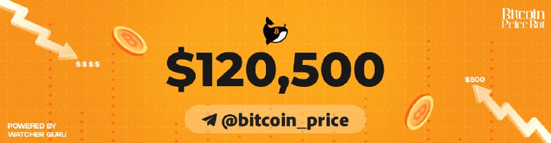 🟢 $120,500 @bitcoin_price