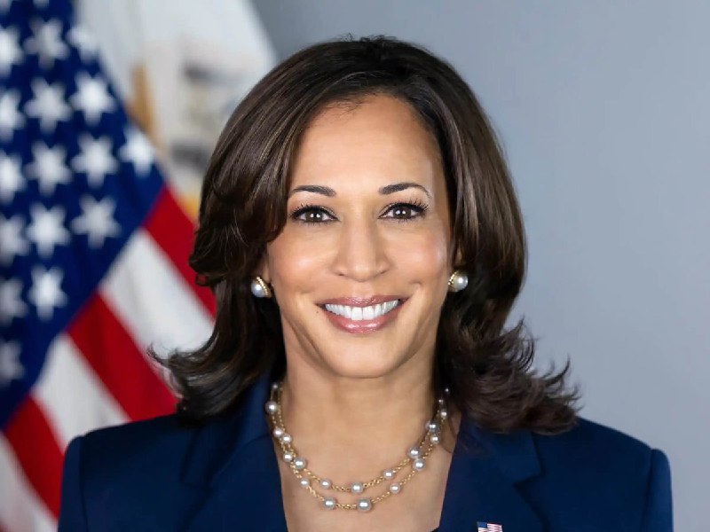 JUST IN: 🇺🇸 Kamala Harris's campaign says she will ensure crypto investors 