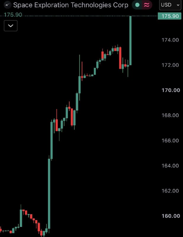 JUST IN: Elon Musk's SpaceX $SPCX surges to $175, surpassing a $2.38 trillion market cap.@WatcherGuru