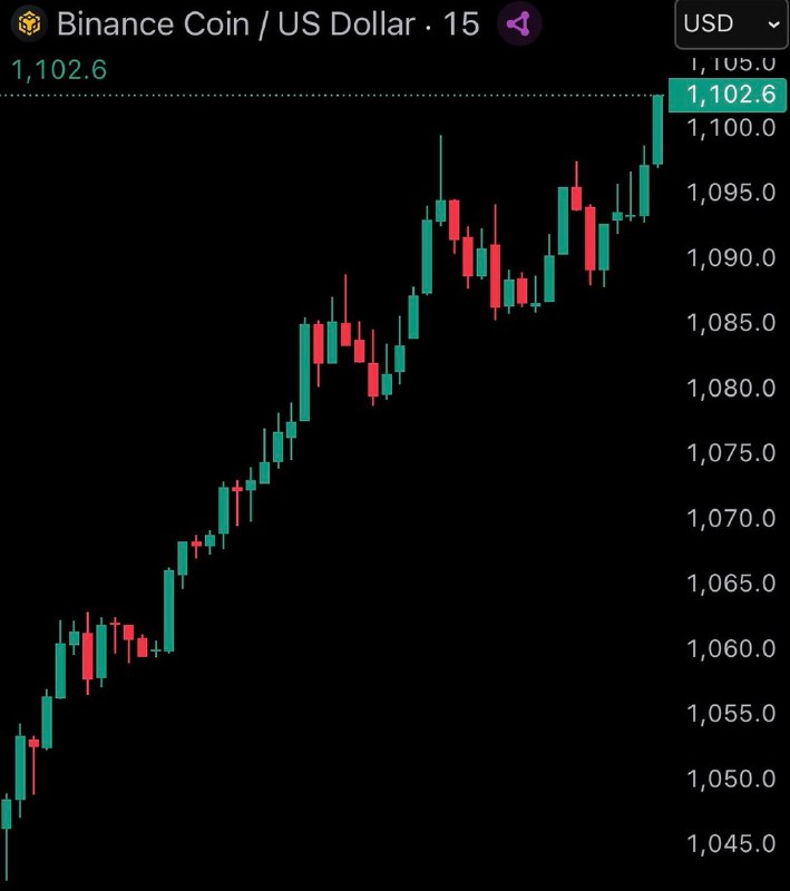 JUST IN: $BNB reaches new ATH of $1,100@WatcherGuruJUST IN: $BNB reaches new ATH of $1,100@WatcherGuru