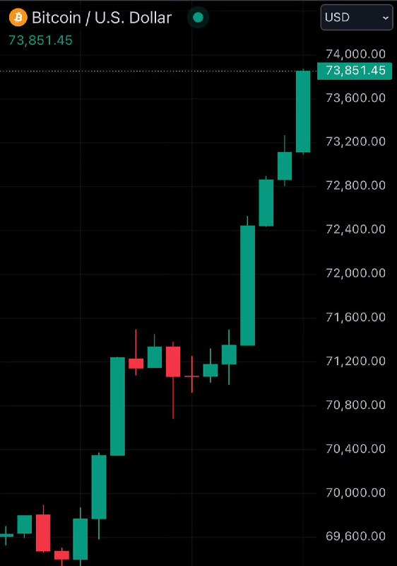 BREAKING: Bitcoin reaches new all-time high of $73,850.@WatcherGuru