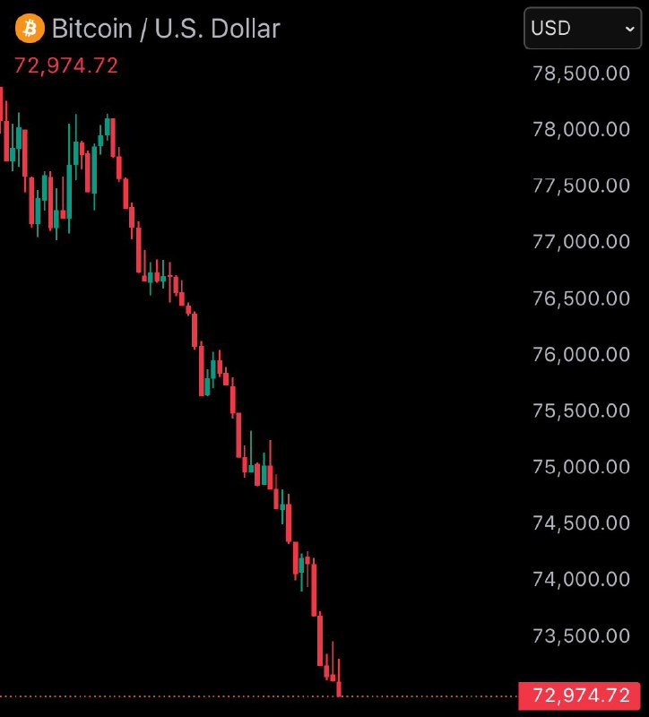 JUST IN: Bitcoin falls under $73,000$285,000,000 liquidated from the crypto market in the past 60 minutes.@WatcherGuru