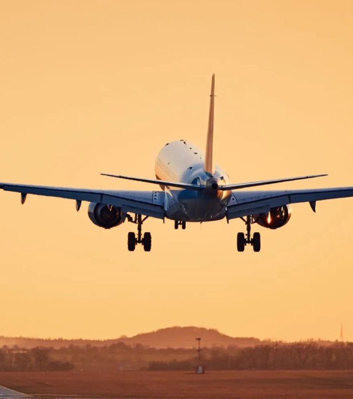 JUST IN: 🇺🇸 Apple $AAPL flies in 5 planes full of iPhones to avoid US tariffs.📰 Full Story@WatcherGuruJUST IN: 🇺🇸 Apple $AAPL flies in 5 planes full of iPhones to avoid US tariffs.📰 Full Story@WatcherGuru