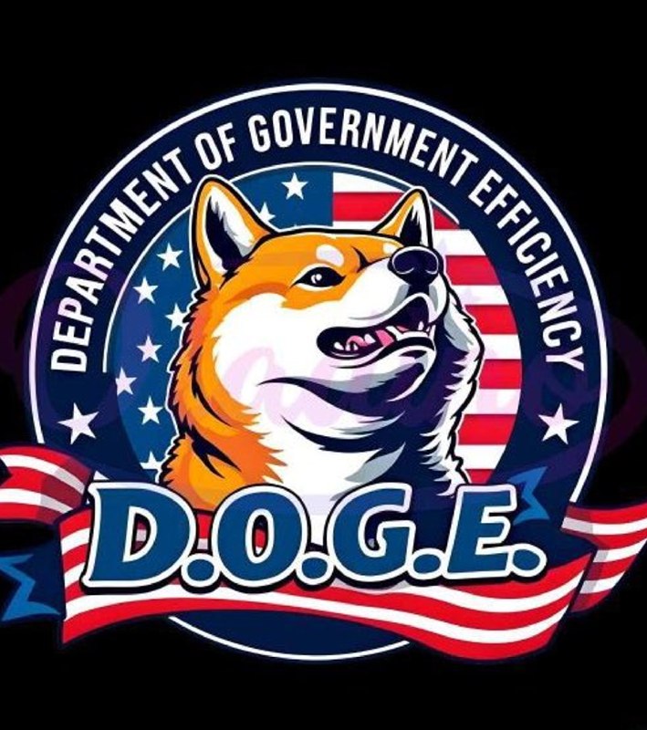 JUST IN: 🇺🇸 Elon Musk says DOGE's goal of slashing $1 trillion in government spending is 