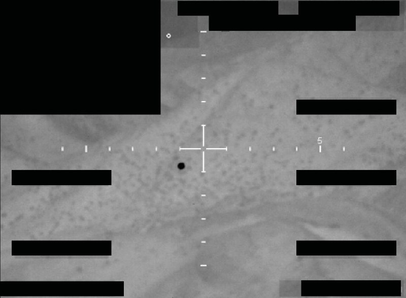 JUST IN: 🇺🇸 Department of War releases UFO and potential alien life files.@WatcherGuruJUST IN: 🇺🇸 Department of War releases UFO and potential alien life files.@WatcherGuru