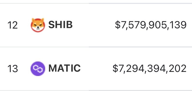 JUST IN: SHIB has flipped MATIC to become the 12 largest cryptocurrency in the world by market value. @WatcherGuru