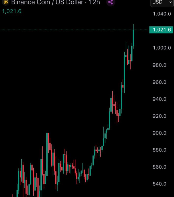 JUST IN: $BNB reaches new all-time high of $1,020.@WatcherGuruJUST IN: $BNB reaches new all-time high of $1,020.@WatcherGuru
