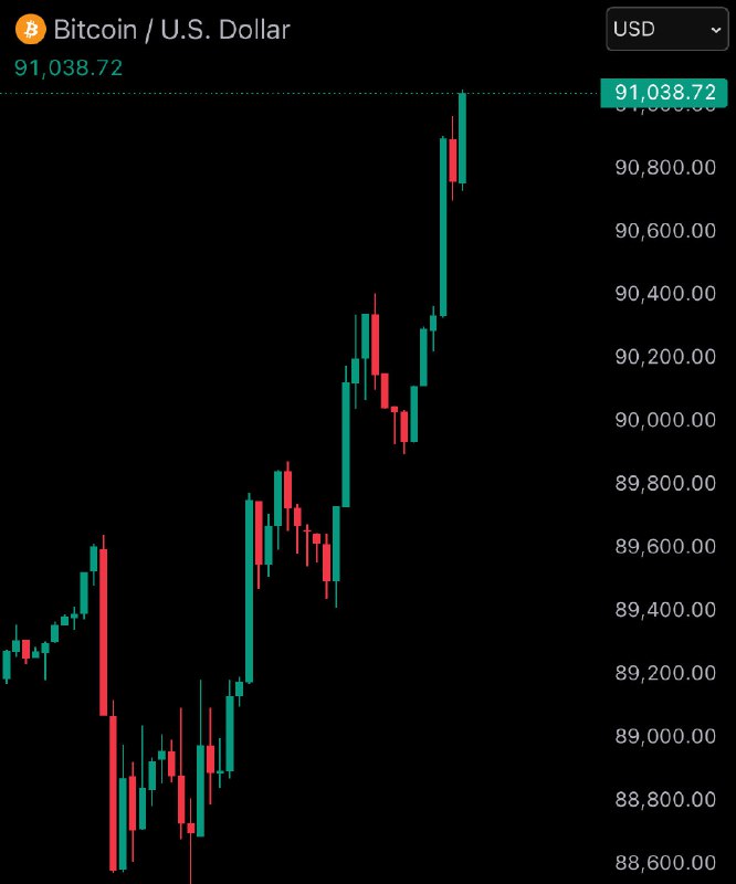 JUST IN: Bitcoin reclaims $91,000@WatcherGuru