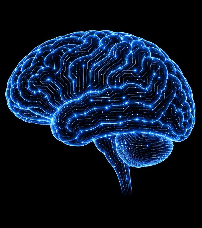 JUST IN: Meta unveils 'Brain2Qwerty v2' AI system that translates brain signals into text in real-time.@WatcherGuruJUST IN: Meta unveils 'Brain2Qwerty v2' AI system that translates brain signals into text in real-time.@WatcherGuru
