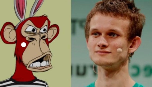 NFTs: Ethereum Founder dismisses BAYC’s “monkeys” use-case