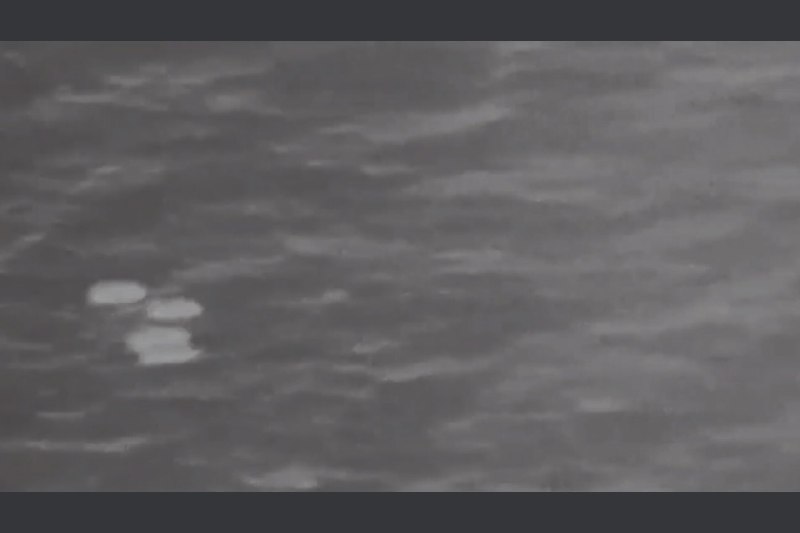JUST IN: 🇺🇸 Department of War releases second batch of UFO and potential alien life files.@WatcherGuruJUST IN: 🇺🇸 Department of War releases second batch of UFO and potential alien life files.@WatcherGuru