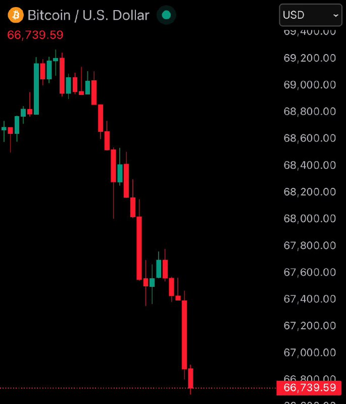 JUST IN: Bitcoin falls under $67,000@WatcherGuru