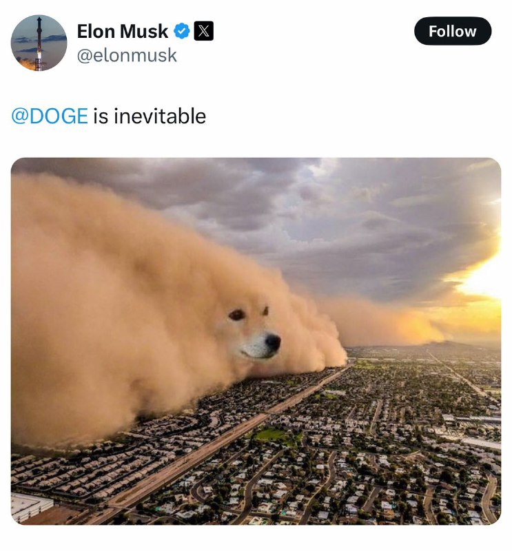 JUST IN: Elon Musk says 