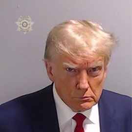 JUST IN: 🇺🇸 Official mugshot of former President Donald Trump.@WatcherGuru