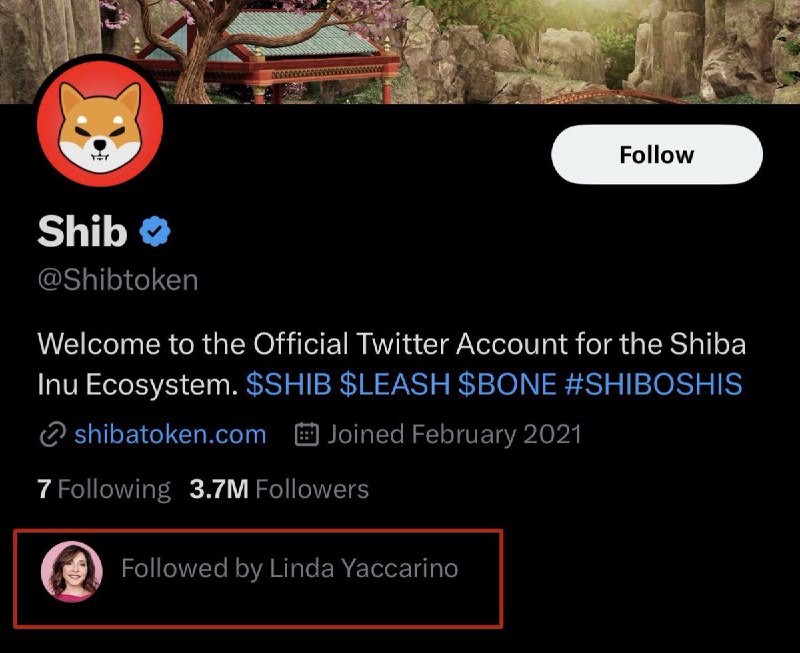 JUST IN: New Twitter CEO Linda Yaccarino is following Shiba Inu on the platform.📰 Full Story @WatcherGuru