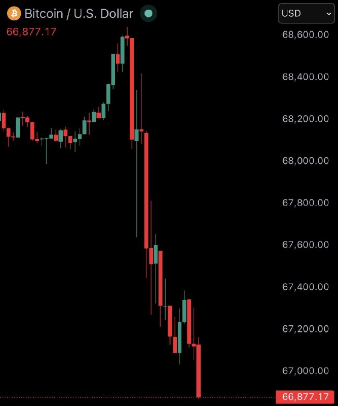 JUST IN: Bitcoin falls under $67,000 after President Trump says he will 