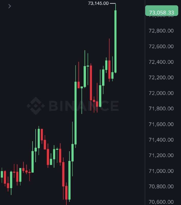 JUST IN: Bitcoin reclaims $73,000@WatcherGuru