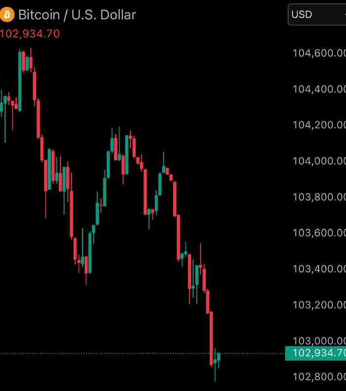 JUST IN: Bitcoin falls under $103,000.@WatcherGuruJUST IN: Bitcoin falls under $103,000.@WatcherGuru