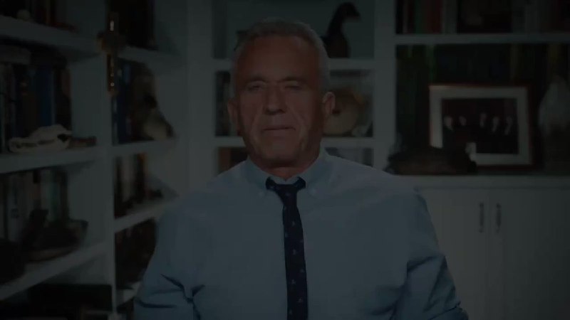 JUST IN: 🇺🇸 Presidential candidate Robert F. Kennedy Jr. says he will end corrupt government & corporate power designed to strip the middle class of their assets and equity.@WatcherGuru