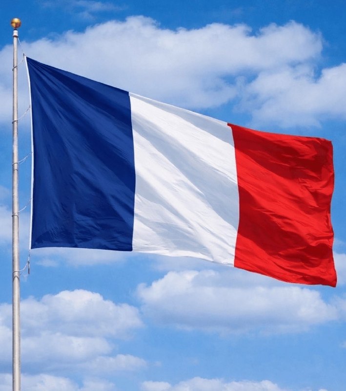 JUST IN: 🇫🇷 France bans social media for children under the age of 15.@WatcherGuruJUST IN: 🇫🇷 France bans social media for children under the age of 15.@WatcherGuru